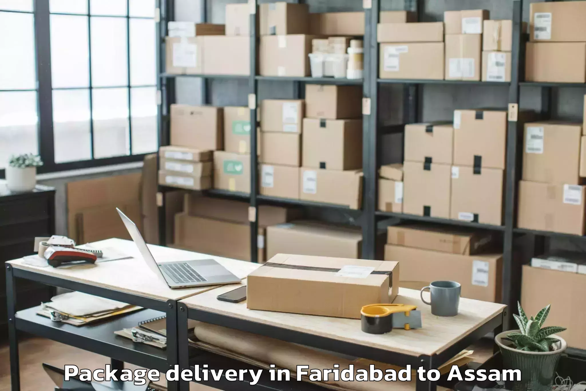 Trusted Faridabad to Dibrugarh University Package Delivery